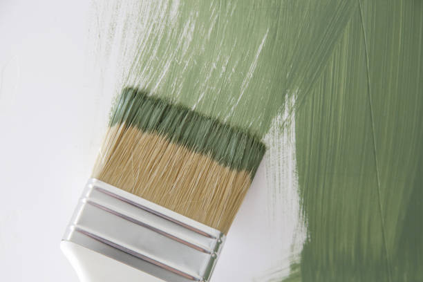  Tucumcari, NM Mold Removal Pros