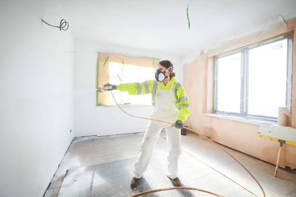 Best Post-Construction Mold Inspection  in Tucumcari, NM