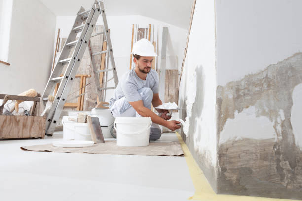 Best Water Damage & Mold Remediation  in Tucumcari, NM