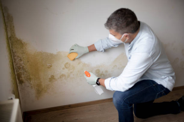 Asbestos and Lead Testing During Mold Inspection in Tucumcari, NM