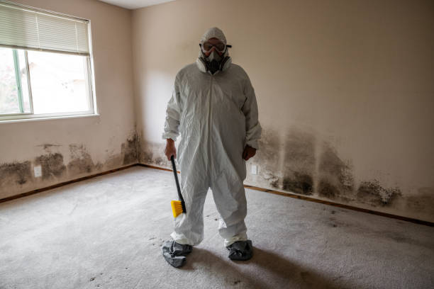 Best Industrial Mold Remediation  in Tucumcari, NM